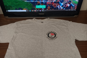 Heavy Cotton Tee